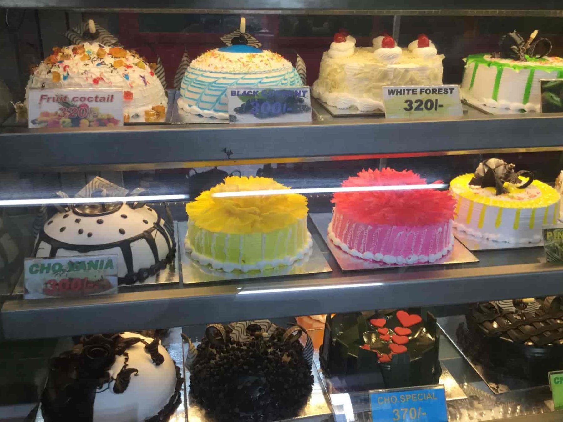 discover the best cake shop in vadodara india top bakeries and sweet treats